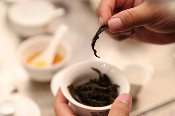 第十一届四川国际茶业博览会10月 31日-11月3日举办