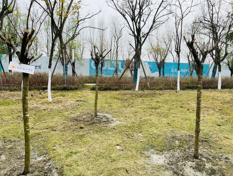微信图片_20230317204711.jpg